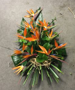 Tropical Single Ended Oasis Spray