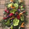 Tropical coffin spray