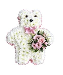 Teddy Bear