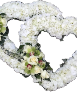 Double hydrangea Heart