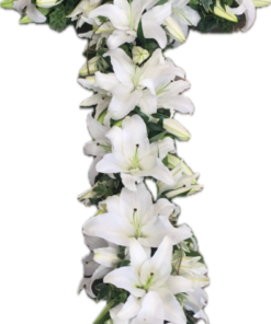 Lily Cross